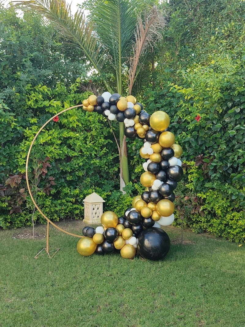 Balloon garland ( online store ) - صورة 3