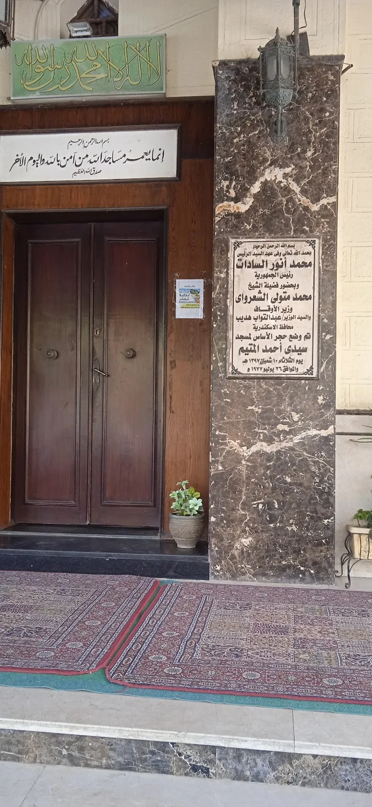 المقاولون العرب - ادارة فرع الاسكندرية - صورة 3