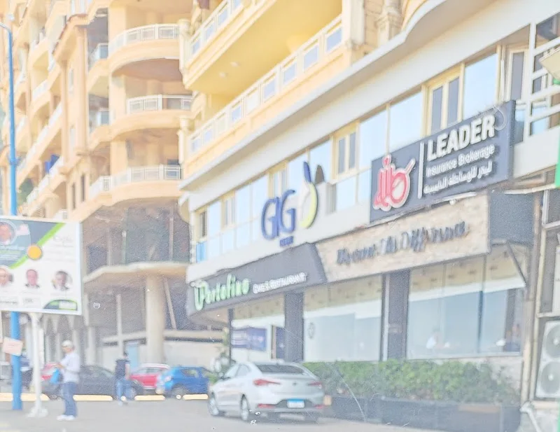 المجموعة العربية المصرية للتأمين - جى اى جى
