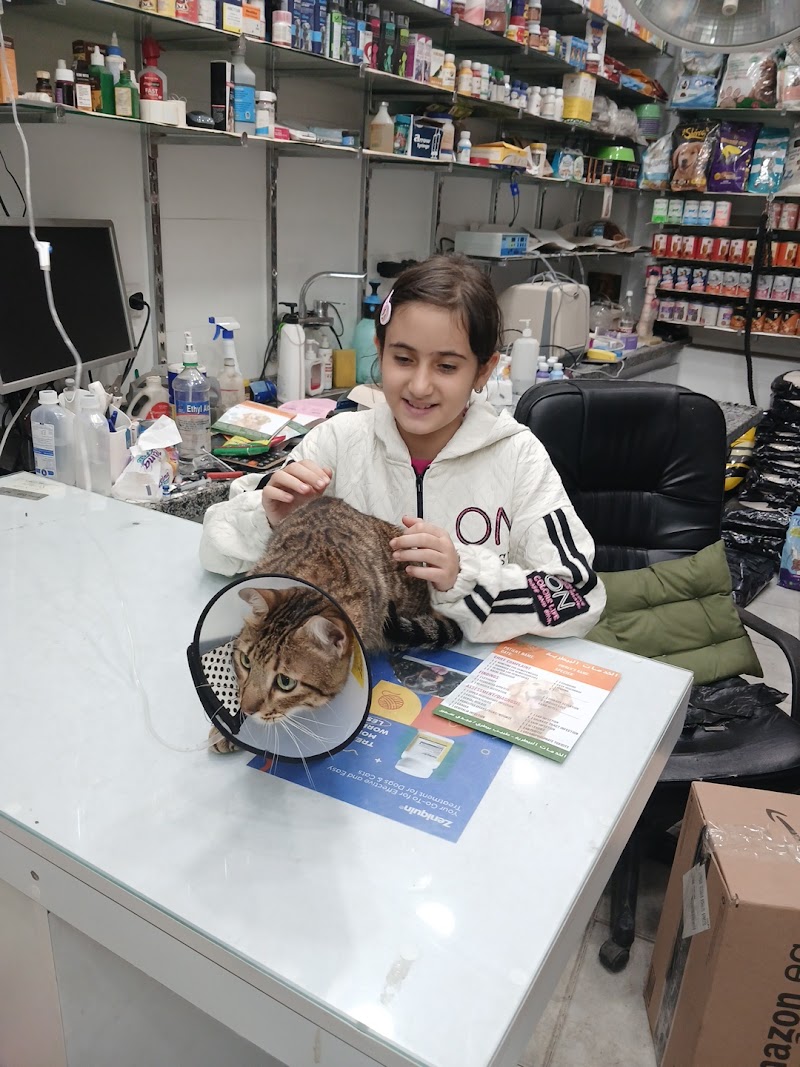 Animal Club Vet Clinic and Pet Store عيادة الخدمات البيطرية - Photo 1