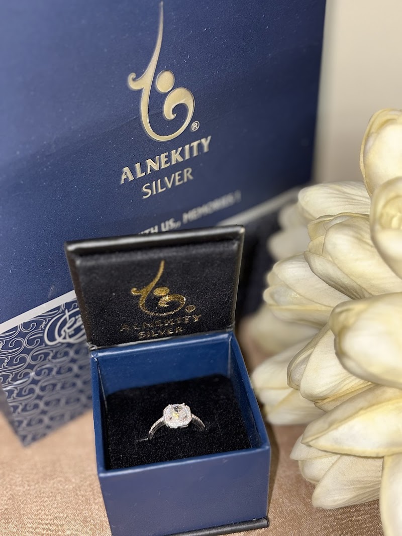 Alnekity Silver - Photo 1