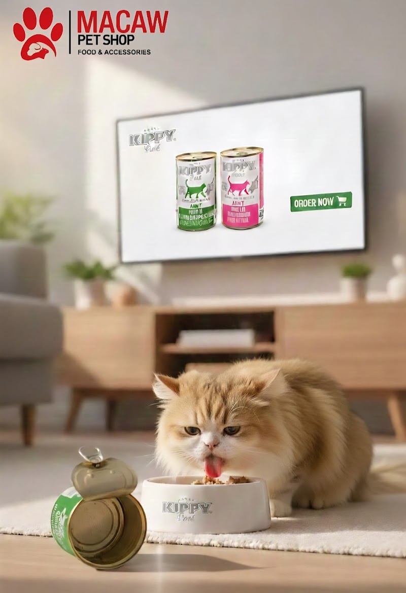 macaw pet store - صورة 2