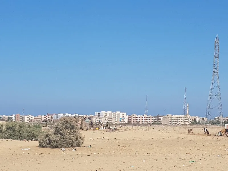 مشتل الزهور مدخل جمصه المنصوره - Photo 1