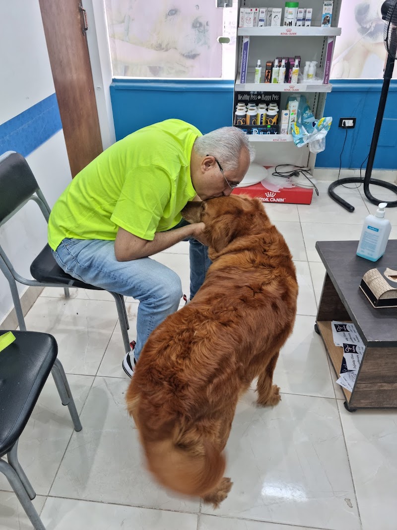 Premium Animal Hospital -New Cairo-First Settlement --مستشفي بيطري التجمع الاول - Photo 1