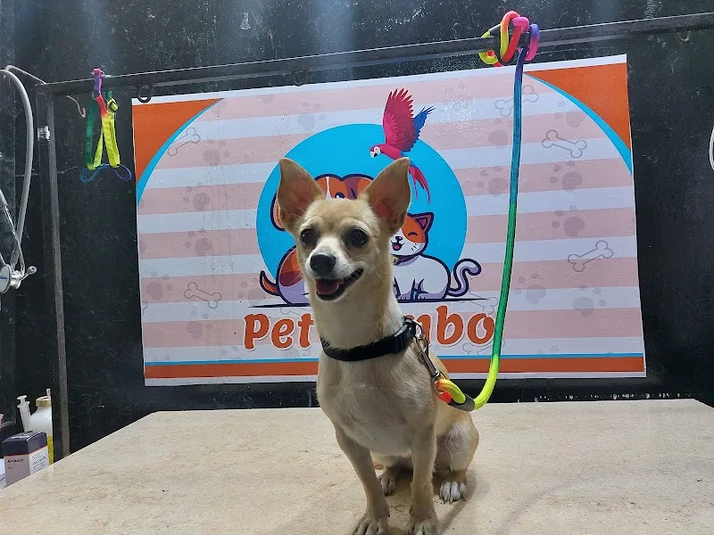 Pet Bombo "pet shop & clinic " Dr Noha Salem - صورة 2