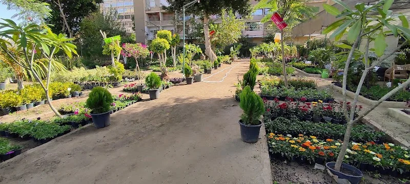 مشتل جرين فارم (زراعة بلكونة) - Photo 3