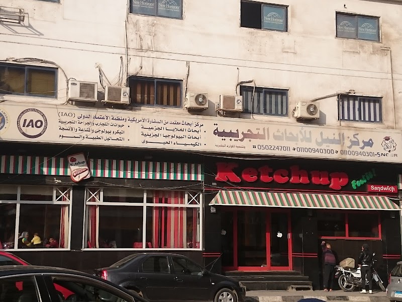 مطاعم كاتشب