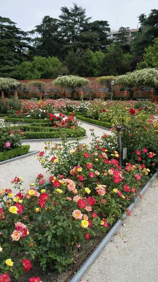 مشتل الدقي - صورة 2