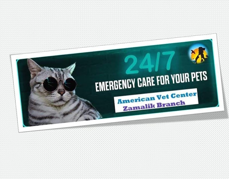 المركز الامريكى لطب وجراحة الحيوان - صورة 3