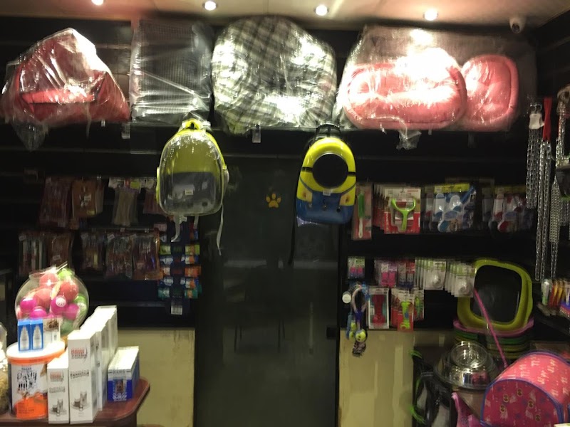 Animal House - صورة 3