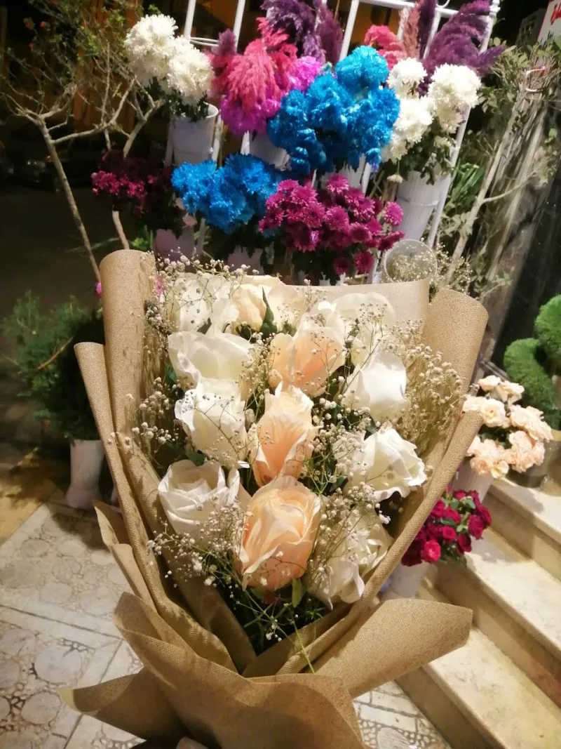 Gardania Flowers |محل ورد جاردينيا - صورة 2