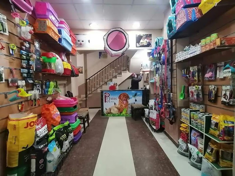 مركز برايم لعلاج الحيوانات الأليفة والطيور