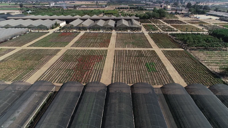 EgyGerman Agricultural Company - Photo 3