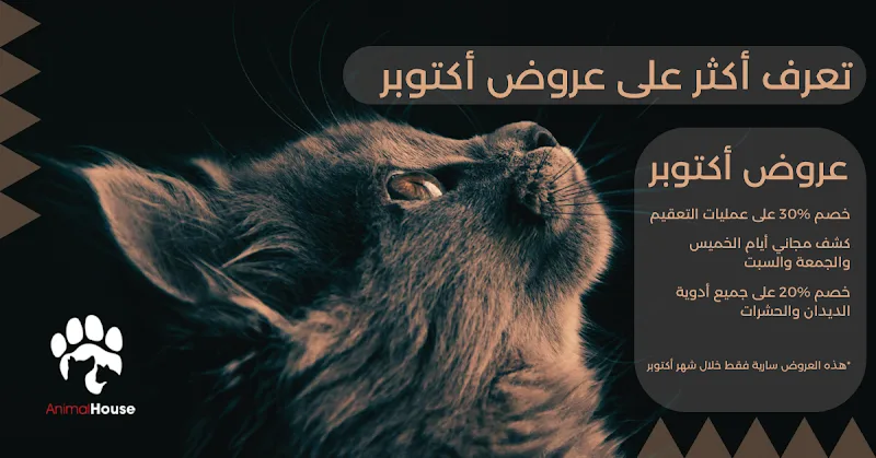 Animal House hospital مستشفى بيطرية - صورة 2