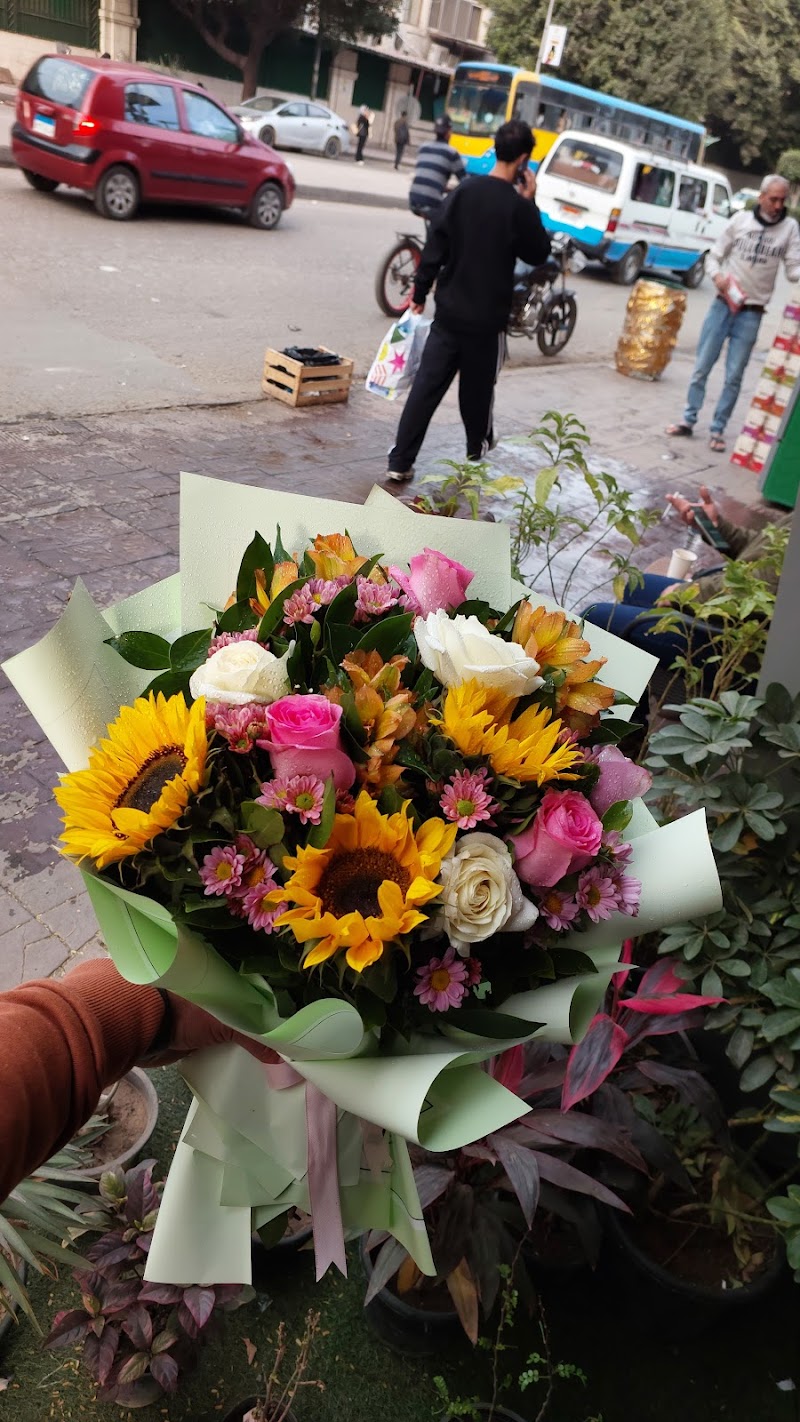 زهور امون - صورة 1