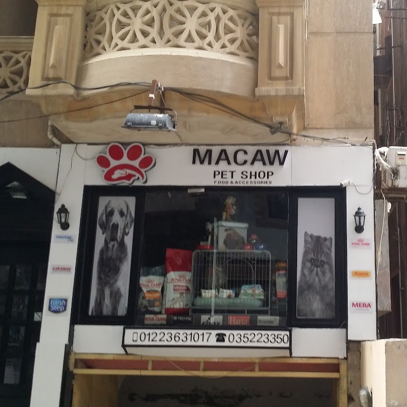 macaw pet store - صورة 3