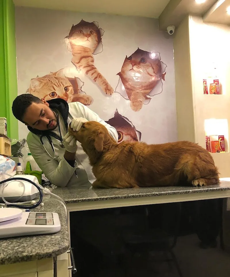 Dr paws hospital New Cairo