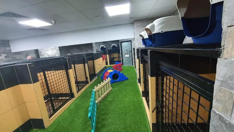 Pet Welfare Clinic - Photo 2