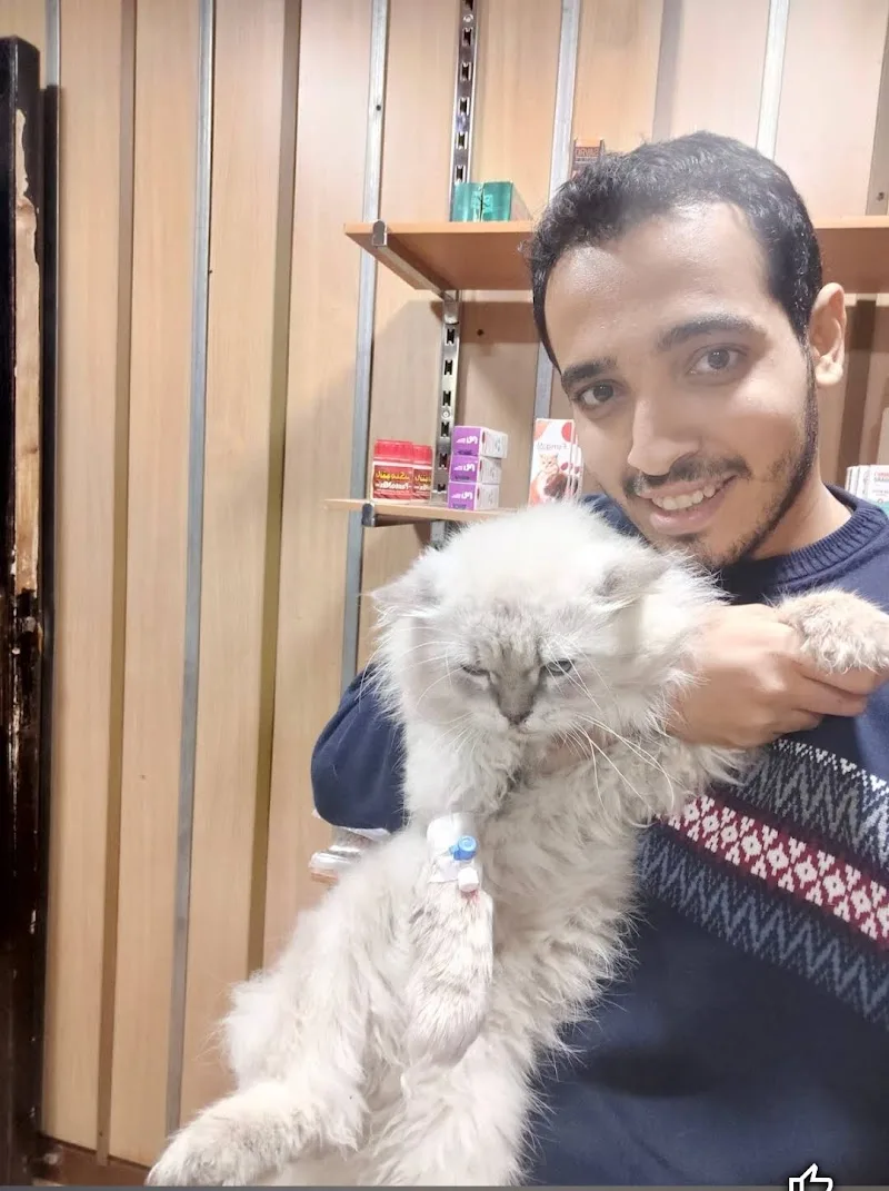 Andy pet clinic عياده بيطريه - صورة 2