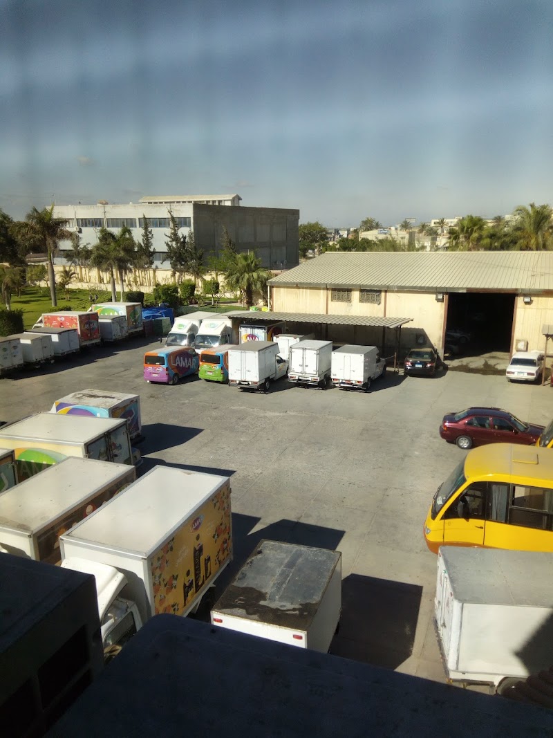 الاسكندرية للانشاءات - صورة 3