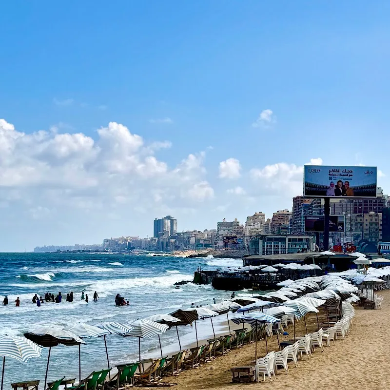 كافيه السلسلة - صورة 2