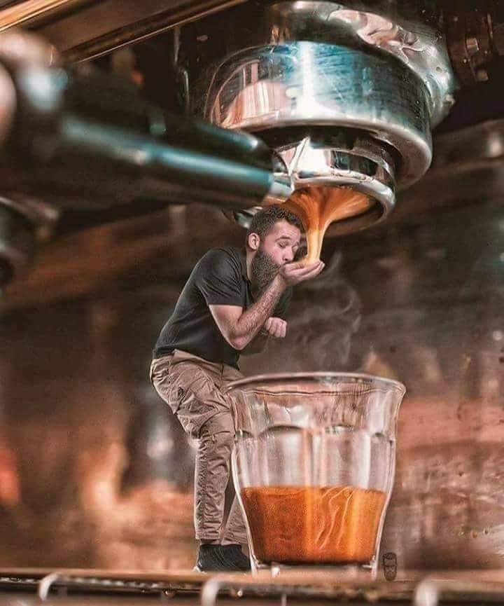 احمدكمال النشار - صورة 3