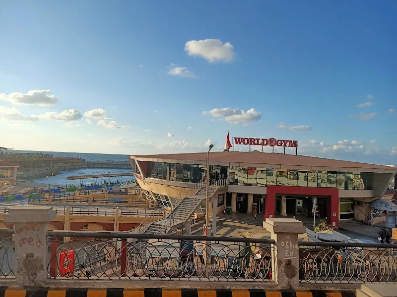 World Fit Gym Alexandria - Photo 3