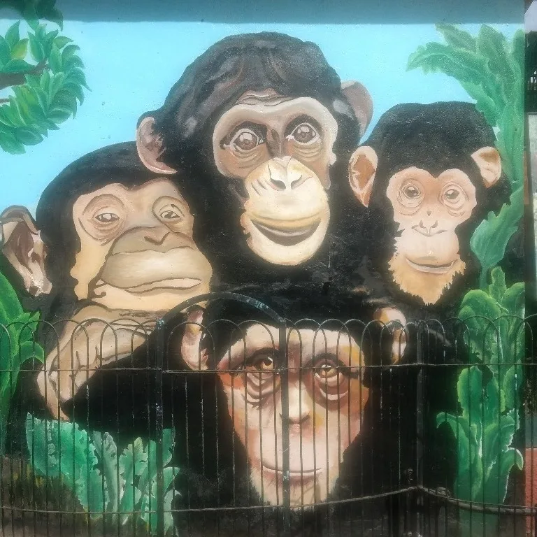 ديزيناتشو- designatshow