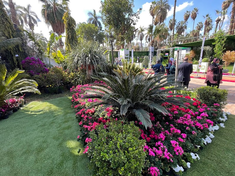 المصرية الألمانية للأنتاج الزراعي - صورة 1