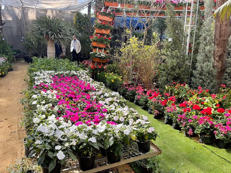 المصرية الألمانية للأنتاج الزراعي - صورة 2