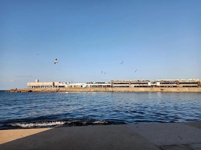 مطعم و كافيه لاتينو - صورة 3