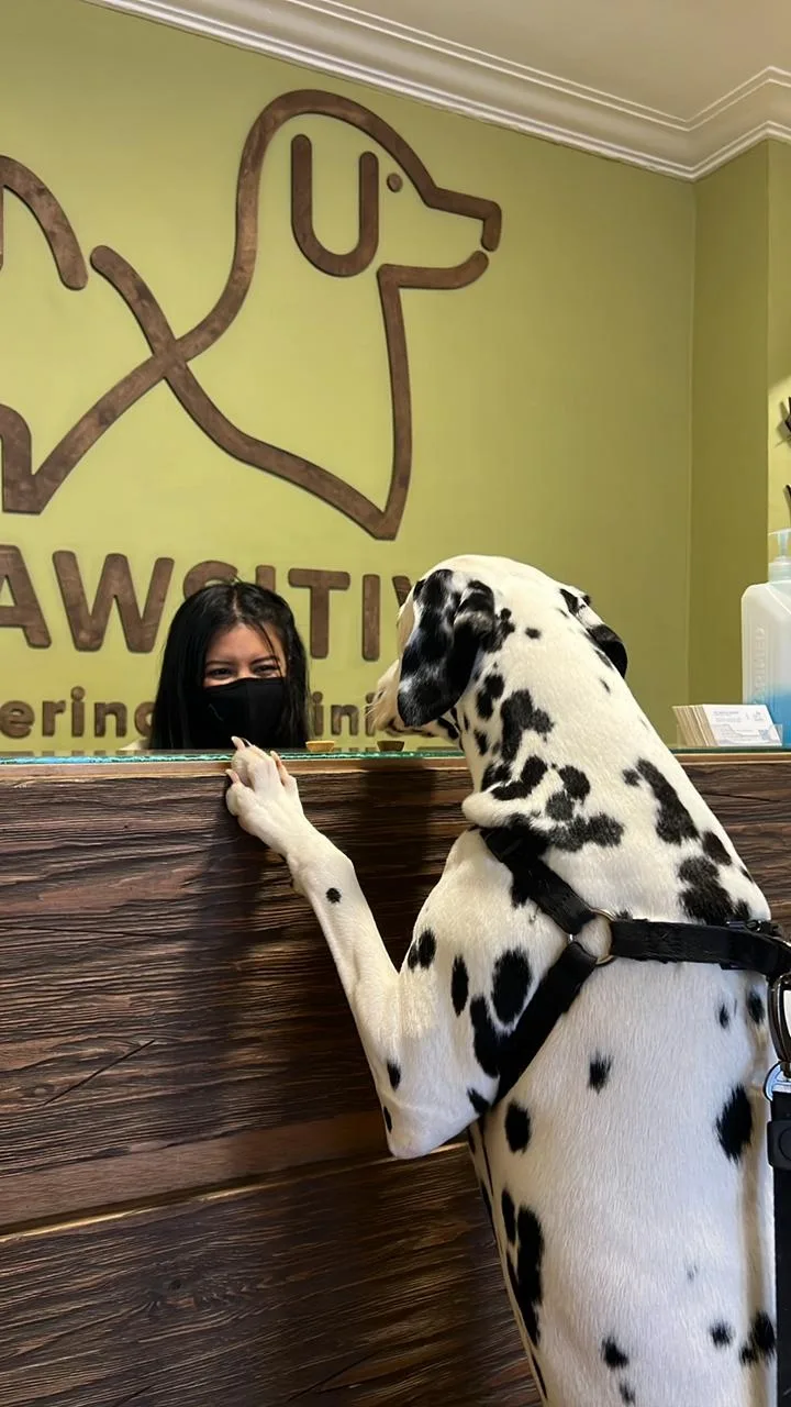 Pawsitive Veterinary Clinic - Photo 3