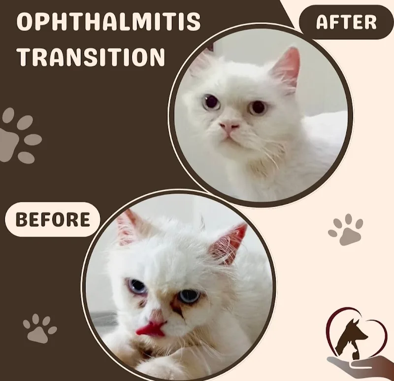 petsi vet clinic عيادة بيطرية - Photo 2