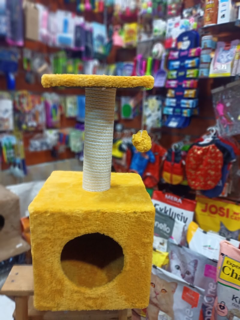 My pets vet center - صورة 1