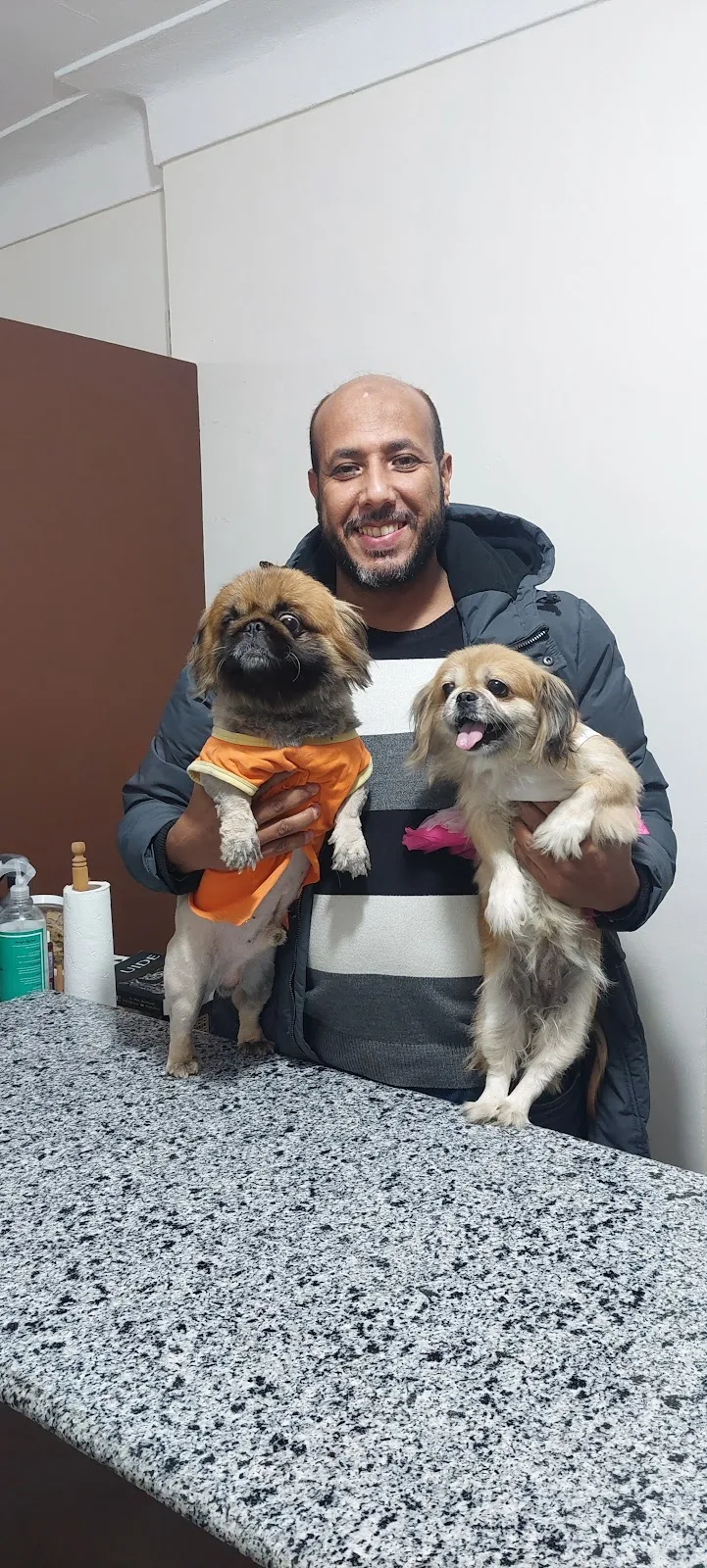 عيادة بيطرية سموحه بلازا البيطرية - Photo 3