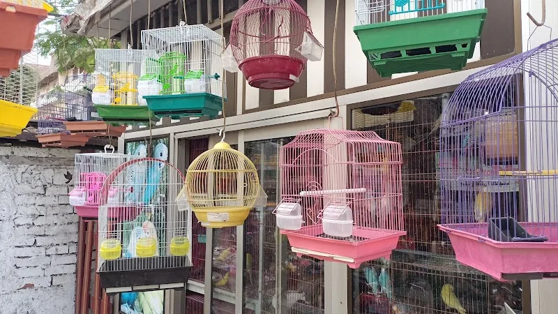 الأمير لمستلزمات الطيور الذينه والحيوانات الاليفه - صورة 2