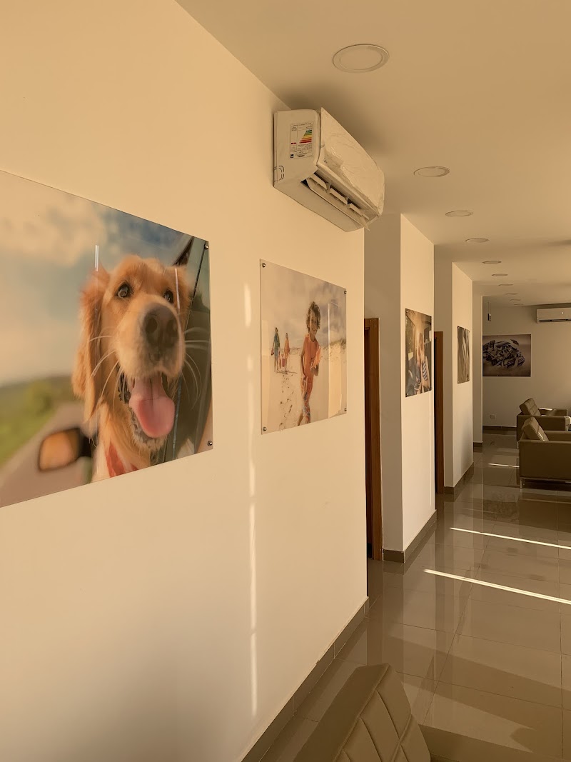 Auto One MG & Chevorlet Certified Service Center - صورة 1