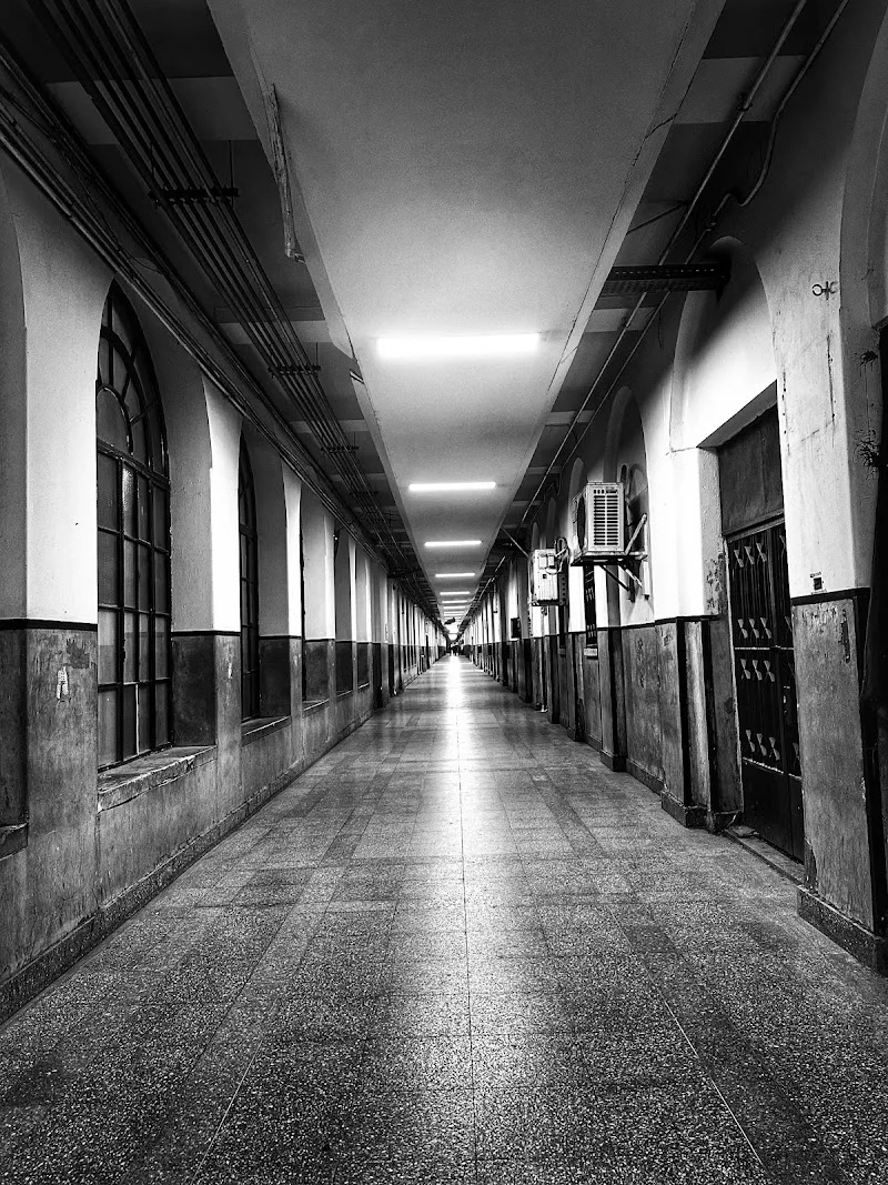 مستشفيات جامعة القاهرة - صورة 2