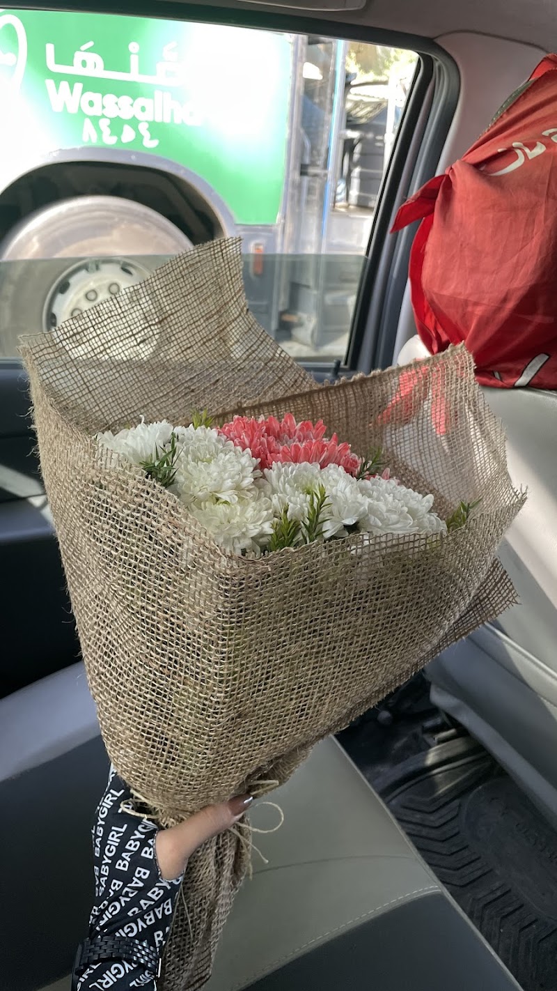 زهور امون - صورة 2