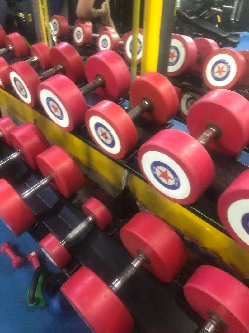 Bakr Gym بكر جيم - صورة 2