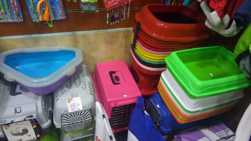 My pets vet center - Photo 3