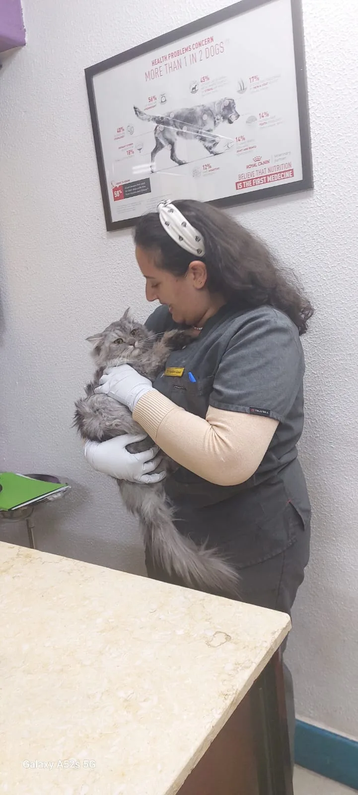 Aleefak Veterinary Clinic Nasr City - عيادة أليفك البيطرية مدينة نصر - صورة 3