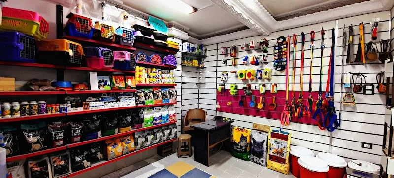 نسر البرية للحيوانات الاليفه بالمنصورة