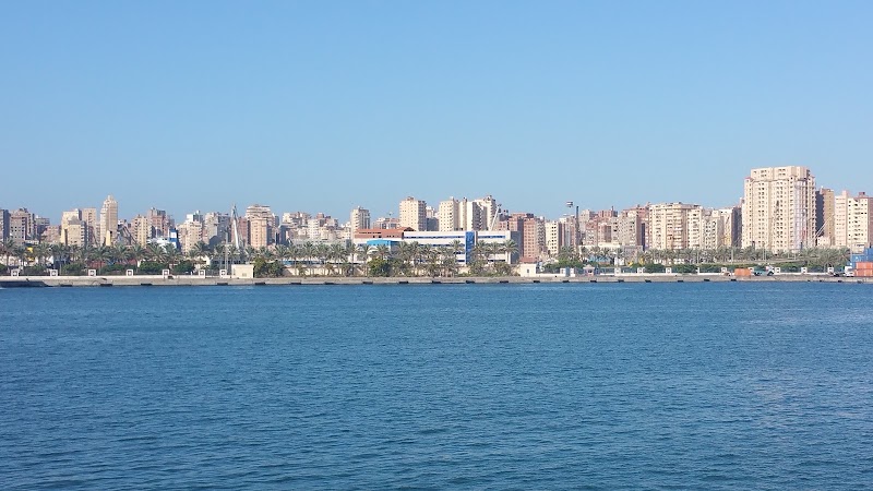 Company Shipment and Emptying - Photo 2