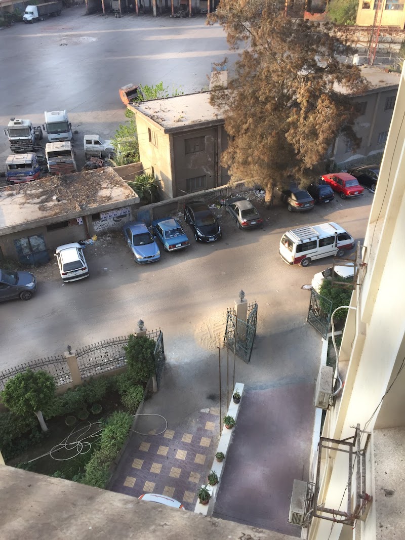 El Mansoura Medical Center - Photo 3