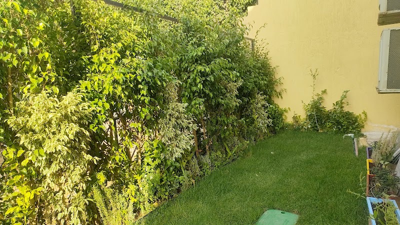 مشتل الشروق النموذجي - صورة 1