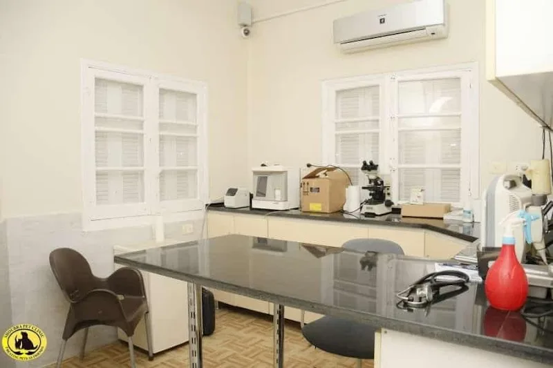 عيادة شبرا البيطرية - صورة 3