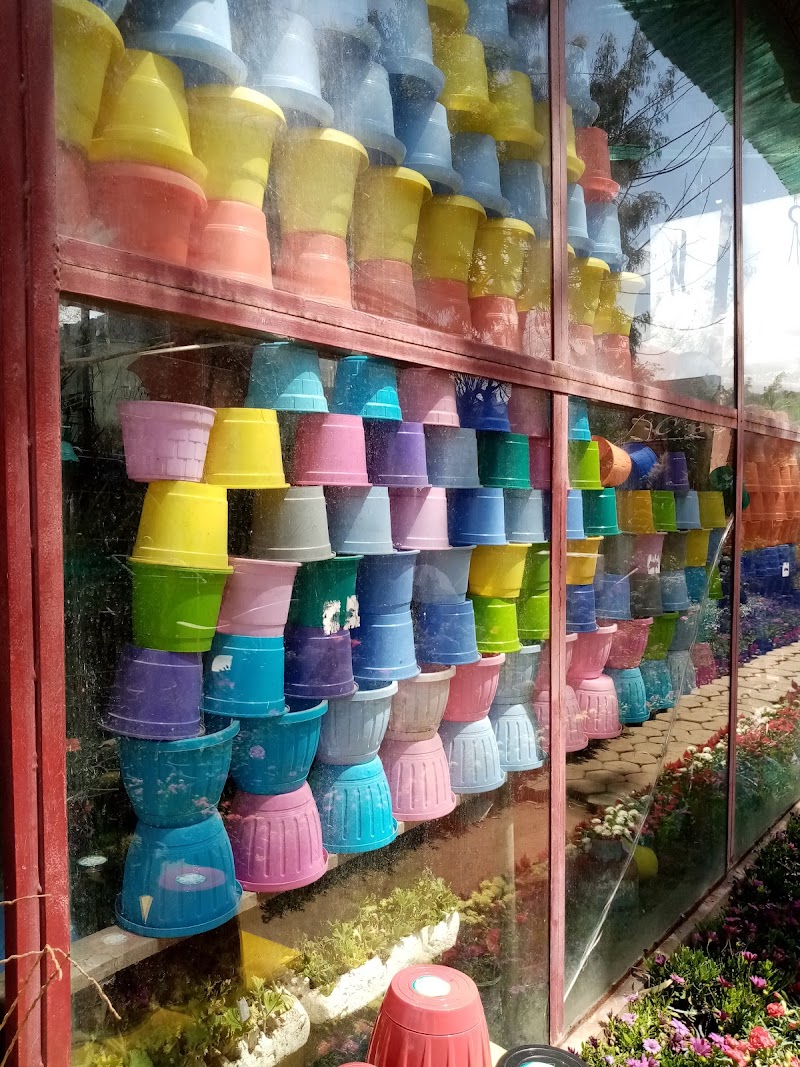 مشتل زهور الربيع الأشجار الزينه والفاكهة