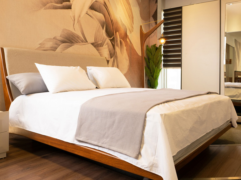 HANIMEX Alexandria - Photo 2