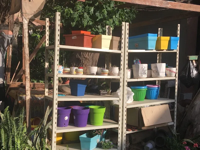 Flower Nursery - AlHuda